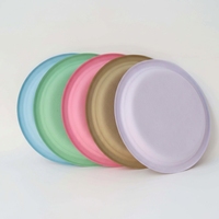 Assiette à dessert jetable de 9 pouces personnalisée, vaisselle de fête biodégradable écologique, ensemble de vaisselle aux couleurs personnalisées