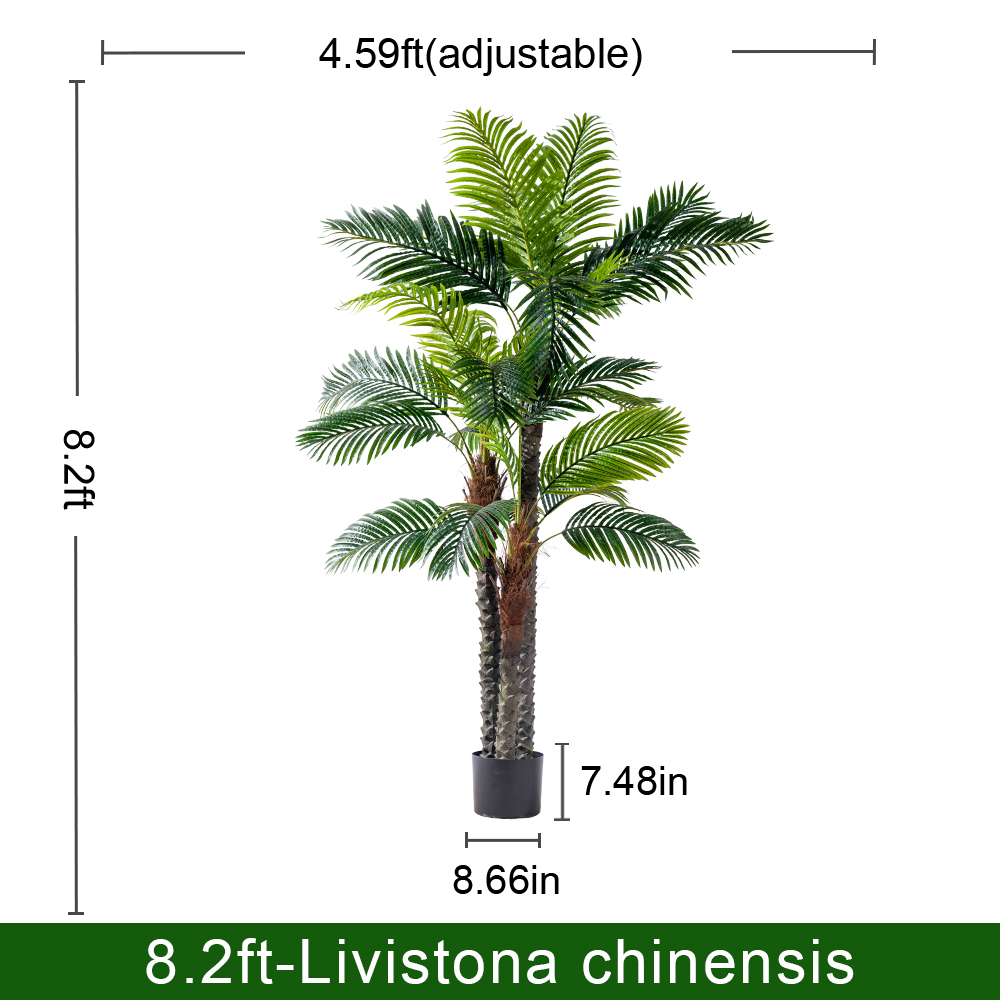 250cm