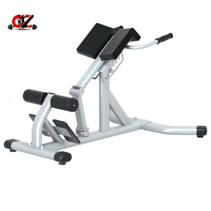 CZFIT Équipement de fitness de haute qualité pour l'entraînement de force et la musculation : Chaise romaine d'extension dorsale pour salle de sport - Product Image 1