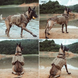 Sac de selle pour <span class=keywords><strong>chien</strong></span>, sac à dos pour voyage Camping randonnée <span class=keywords><strong>chien</strong></span> moyen et grand avec 2 poches latérales volumineuses - Product Image 6