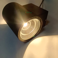 Applique murale extérieure LED de Noël RGB/RBGW étanche haute puissance avec télécommande WiFi