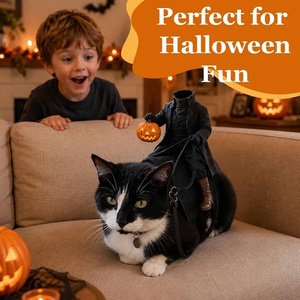 Halloween Party Decor Headless Horseman Cat-kostuum Spookachtige 3D paardrijillusie huisdieroutfit voor kleine puppy Cat <span class=keywords><strong>Kitty</strong></span> Kitten - Product Image 2