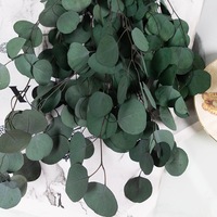 Fleurs Séchées Naturelles Multi Couleur Eucalyptus Pomme Forme Feuilles Préservé Plante Décoration pour La Maison