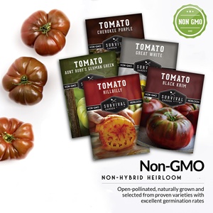 Ensemble <span class=keywords><strong>de</strong></span> 5 variétés <span class=keywords><strong>de</strong></span> graines <span class=keywords><strong>de</strong></span> tomates anciennes colorées, non-OGM, pour pot suspendu au sol, incluant Black Krim et Great White Aunt - Product Image 3