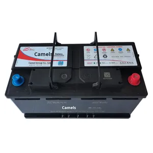 Nouvelles batteries 12V110 61044 Camel 2S pour BMW <span class=keywords><strong>Mercedes</strong></span>-Benz Audi pour véhicules utilitaires Iveco - Product Image 1