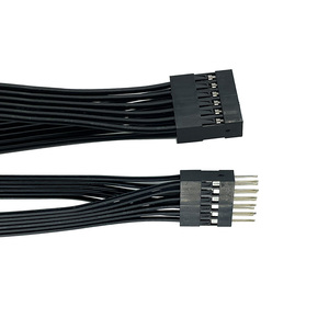 Kustom baris ganda perempuan laki-laki 2.54mm Pitch colokan DuPont papan roti 24AWG harnes kabel Jumper kabel Terminal PCB Harness kawat - Product Image 1