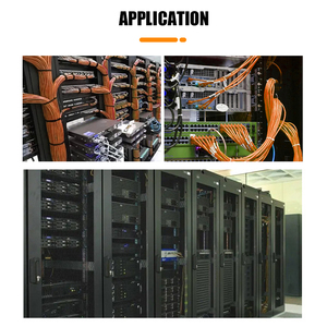 Módulo Combinado de E/S Modular para PLC, Personalizado, de 8 Canales, Entrada y Salida Digital, Montaje en Riel DIN - Product Image 4