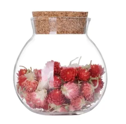 Shaped Home Accessories Plant Terrarium Container Wall Hanging Glass Ecological Landscape Bottle