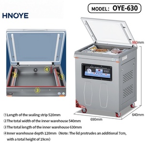 Machine de scellage sous vide à <span class=keywords><strong>double</strong></span> serrage pour sacs de filets de poisson - Product Image 2