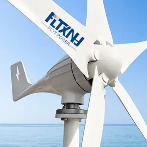 FLYT Factory Best Quality 800w wind mill 12v 24V Horizontal Shaft Wind Turbine 5 Blades Home Wind Turbine Generator