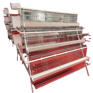 Cage à poules pondeuses de type A/<span class=keywords><strong>H</strong></span>/D à 3/4 niveaux, 96/120/128/160, cage à poules pondeuses pour 1000 oiseaux avec système d'abreuvement automatique - Product Image 2