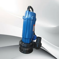 Haute qualité 1hp pompe submersible haute pression vide personnalisable OEM pompes de puits centrifuges pour eaux usées eaux usées DC unique