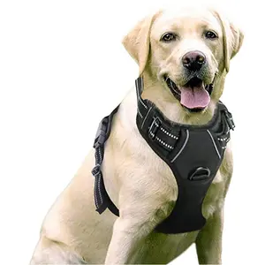 Tali pengaman anjing peliharaan Logo kustom ringan baru harnes anjing lapis udara empuk lembut dapat disesuaikan dengan tali leher anjing karet