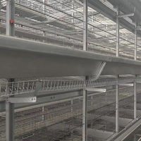 Système d'équipement de cage d'élevage de poulets entièrement automatique, durable et peu encombrant, de conception en forme de H, pour l'Afrique, permettant de réduire les coûts de main-d'œuvre