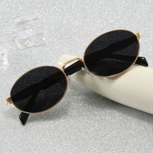 Nouveautés 2026 – Lunettes de soleil elliptiques tendance style punk, luxe rétro, protection UV400, pour femme – Prix de gros usine - Product Image 1