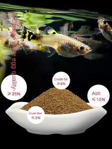 Cibo per pesci galleggianti ad alto contenuto proteico speciale piccolo Guppy giovani mangime aperto tropicale che affonda lentamente <span class=keywords><strong>pesce</strong></span> confezionato in sacchetti - Product Image 5