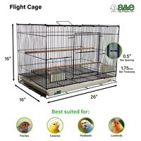 Cage à oiseaux carrée spacieuse avec cadre métallique thermolaqué, poignée de transport, perchoir en bois et deux mangeoires pour pinsons, canaris et petits oiseaux