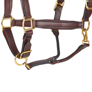 Correa de Cuero de Alta Calidad para Montar a Caballo, Equipo Ecuestre Profesional, Diseño Transpirable, Personalizable, Venta al Por Mayor OEM - Product Image 6