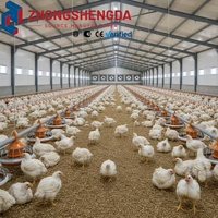 Poulailler en structure métallique ventilée à tunnel fermé, dix ventilateurs d'extraction, silo à alimentation en vrac, longue ferme préfabriquée blanche CE