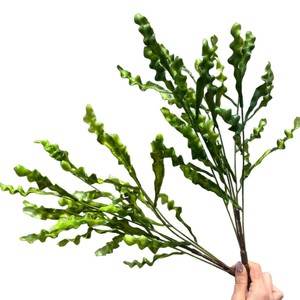 Césped Artificial Ondulado Secret Garden de 58 cm de Altura, Follaje de Seda para Decoración de Bodas - Product Image 2