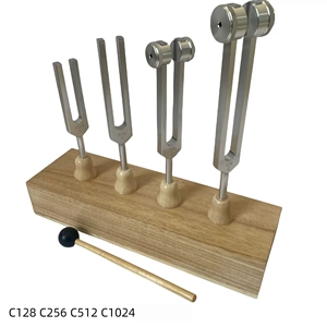 Kit d'Diapasons de Résonance en Gros C128 C256 C512 C1024 C2048 C4096, Kit d'Accordage avec Boîte de Résonance en Bois pour l'Enseignement Scolaire - Product Image 4