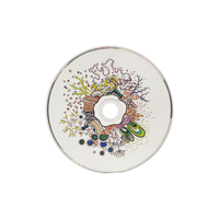 Disco de CD de Audio con Diseño Artístico Pintado, CD con Diseño de Retrato en Acuarela para Lanzamientos de Álbumes Artísticos
