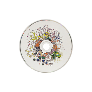 Disco de CD de Audio con Diseño Artístico Pintado, CD con Diseño de Retrato en Acuarela para Lanzamientos de Álbumes Artísticos - Product Image 2