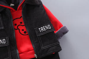 Ensembles de vêtements en coton pour garçons : Pantalons, gilets et sweats à capuche de printemps, vente en gros du marché chinois - Product Image 5