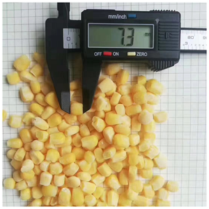 Toplu IQF dondurulmuş TATLI MISIR çekirdek-ihale ve sulu, dondurulmuş yemekler, taraflar ve hızlı atıştırmalıklar için Ideal - Product Image 3