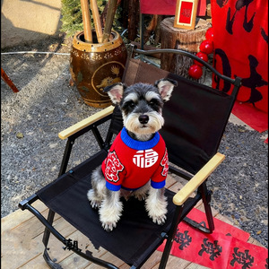 Ropa de invierno para perros, suéter tejido para gatos, atuendo festivo grueso para Bulldog Francés y Bichón, disponible en fábrica. - Product Image 6
