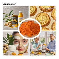 Approvisionnement d'usine prix de gros poudre d'extrait de curcuma