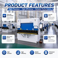 Presse plieuse hydraulique CNC entièrement automatique de haute précision de 30 tonnes pour l'usine de traitement de tôles