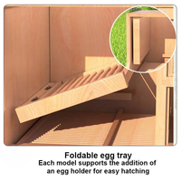 Nichoir en bois pour l'élevage de pigeons de course avec plateau coulissant et cloison pour l'accouplement, l'éclosion et l'isolement – Robuste, durable et facile à nettoyer