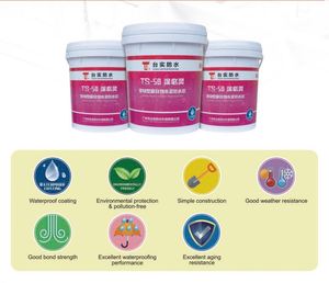 Revêtement acrylique moderne, imperméabilisation à base de polymère cimentaire résistant à l'eau - Product Image 2