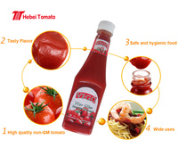 340g Tomatensaus Dipsaus Condiment Pasta Zoetzure smaak 28-30% Brix Doos/Fles Exporteur