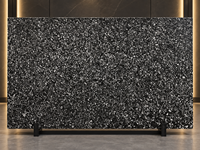 Dalles de marbre noir Seashells avec motif fossile pour îlots de cuisine, plans de travail, tables à manger, revêtements de sol et grands panneaux muraux