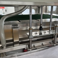Machine de remplissage et d'ensachage automatique de poudre de qualité alimentaire de 25-50 kg, contrôlée par PLC, pour farine, blé, manioc, avec sacs en papier/plastique