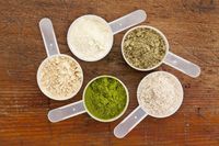 Poudre de protéine à base de plantes de marque privée suppléments sportifs poudre d'isolat de protéine végétale d'étalon or