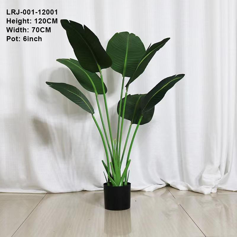 120cm/árbol del viajero