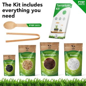 Kit Terrario Fai-da-Te PYEF CRAFTS per Creare un Ecosistema Autonomo, Include Succulente <span class=keywords><strong>in</strong></span> Barattolo di Vetro da 68 oz, Prodotto negli USA - Product Image 6