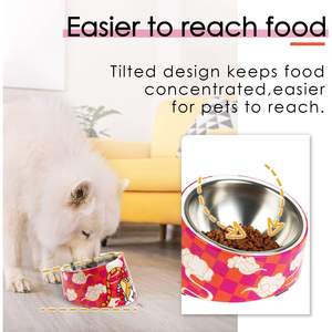 Comedero para Perros y Gatos con Diseño Innovador Antiderrames, Inclinado 15 Grados, Antideslizante, Forma Redondeada, Capacidad de 0.5 Tazas - Product Image 2