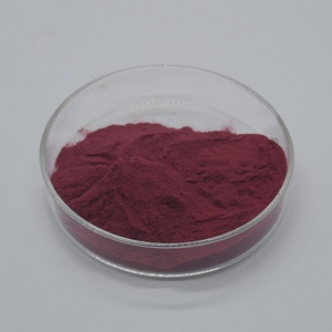 산신 천연 순수 월귤 나무 과일 추출물 25% 프로시안딘 월귤 추출물 분말 - Product Image 3