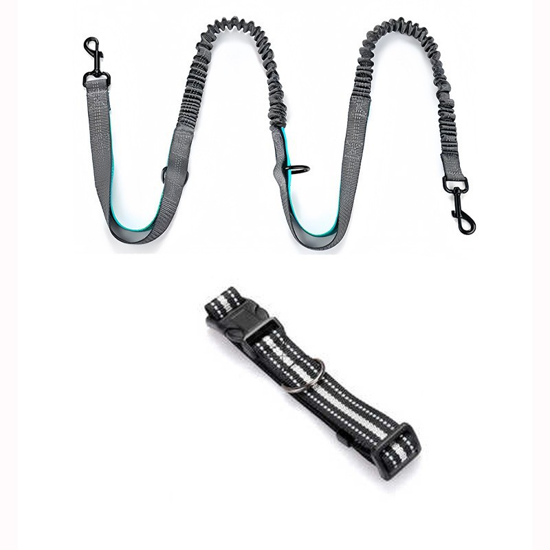 142*172 cm (collier + laisse)