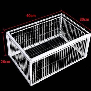 Cage piège à pigeons sans sortie, en métal traité sous pression, épaissi et crypté, pour pigeons voyageurs, fermes, garages, pigeons de chair, jardins - Product Image 6