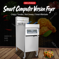 Friteuse Électrique Professionnelle Automatique à Levage, en Acier Inoxydable 304, pour Brochettes de Poulet Commerciales, Idéale pour la Cuisine