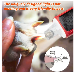 جهاز تشذيب شعر الحيوانات الأليفة متعدد السرعات للاستخدام اليومي المنزلي وصالونات العناية بالحيوانات الأليفة والسفر، قابل لإعادة الشحن، <span class=keywords><strong>7</strong></span> سرعات، إضاءة LED 360 درجة، احترافي للكلاب والقطط - Product Image 6