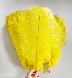 <span class=keywords><strong>Plumes</strong></span> de <span class=keywords><strong>d</strong></span>écoration de mariage artisanal bleu doré Grandes pièces maîtresses en <span class=keywords><strong>plumes</strong></span> en vrac 70cm 65cm 50 <span class=keywords><strong>60</strong></span> <span class=keywords><strong>cm</strong></span> <span class=keywords><strong>Plumes</strong></span> <span class=keywords><strong>d</strong></span>'<span class=keywords><strong>autruche</strong></span> noires pour fournitures de fête - Product Image 1