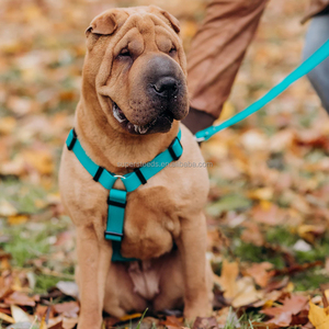 Arnês para Cães em Forma de H para Caminhadas Aventuras Conforto e Estilo Combinado Permite Pro Control-Material Plástico - Product Image 4