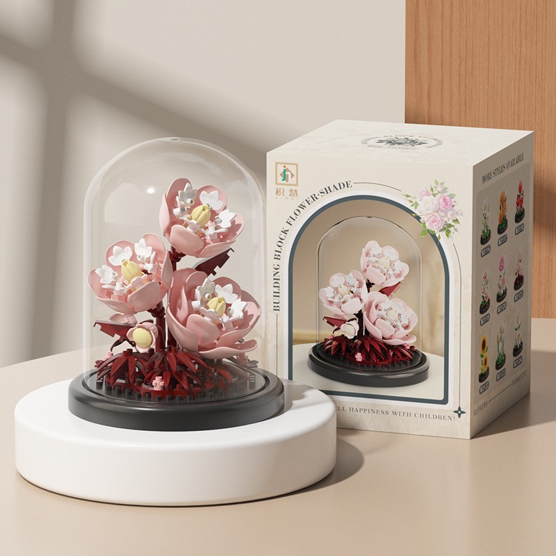 Peony 168pcs+transparent dust cover-color box