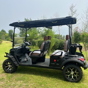Mới ra mắt bán buôn pin lithium điện Golf giỏ hàng 2 + 2 CHỖ NGỒI Buggy nhà máy bán hàng trực tiếp - Product Image 4